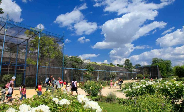 Volière du jardin d'acclimatation de paris